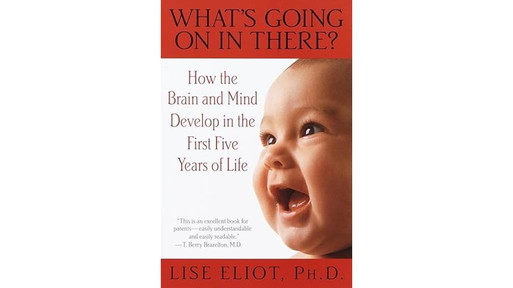 early brain development explained