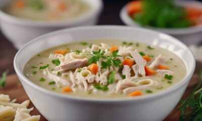 nutritious pureed chicken soup