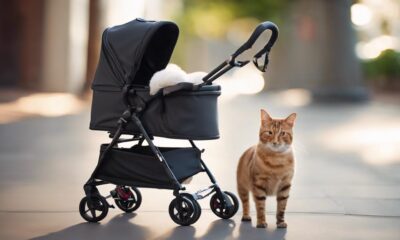 pet strollers for comfort