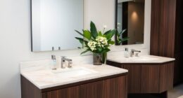 stylish and functional vanities