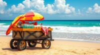 top beach cart picks