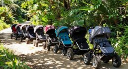 best all terrain strollers