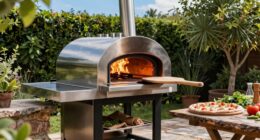 top gas pizza ovens