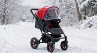winter snow stroller options