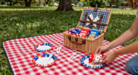13 Best Patriotic Outdoor Family Picnic Supplies in 2026