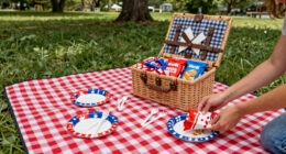 13 Best Patriotic Outdoor Family Picnic Supplies in 2026