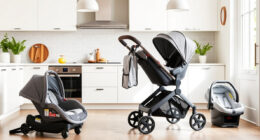 Best Budget UPPAbaby & Nuna Strollers & Car Seats in 2026
