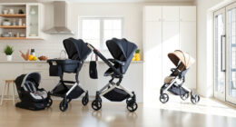 Is the UPPAbaby / Nuna Vista V2 Worth It? Honest Review