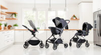 UPPAbaby Vista V2 Review: Top Features, Pros & Cons