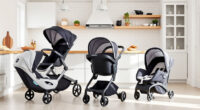 Top Strollers & Car Seats: UPPAbaby Vista & Nuna MIXX Review