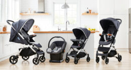 Ultimate Nuna PIPA & UPPAbaby Stroller Review: Pros & Who It's For