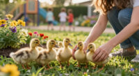 Ducklings Early Learning Center Surges In Global Coverage