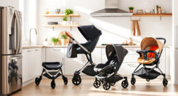 Is the UPPAbaby / Nuna Nuna MIXX Worth It? Honest Review
