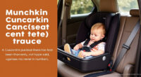 Munchkin Carseat Tray Review: Snack Time Made Easy This September