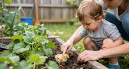 ‘Chickie Chickie In The Garden’ Invites Little Ones To Learn And Explore